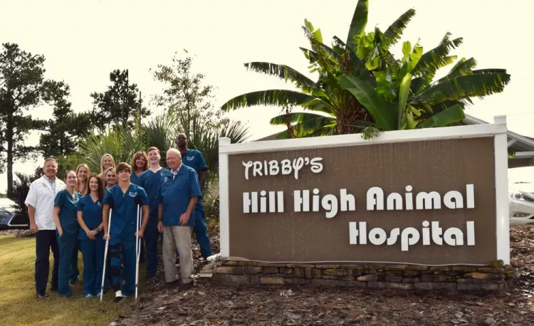 Hill High Animal Hospital, Georgia, Augusta